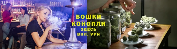 прущие грибы Белокуриха