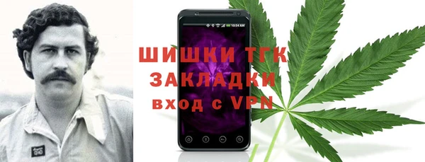 ALPHA-PVP Богородицк