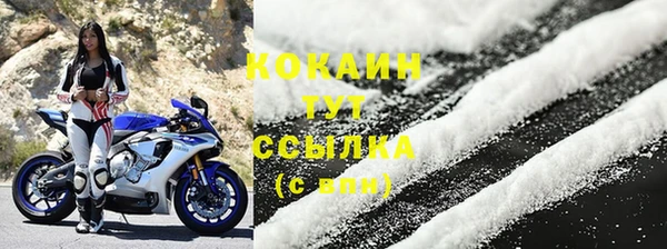 прущие грибы Белокуриха
