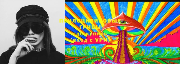 прущие грибы Белокуриха