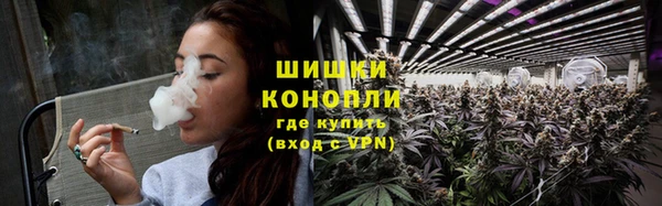 прущие грибы Белокуриха