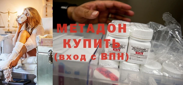 прущие грибы Белокуриха