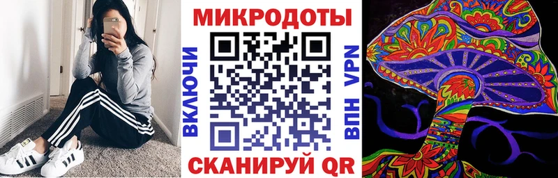 darknet официальный сайт  Железногорск-Илимский  Псилоцибиновые грибы Psilocybe 
